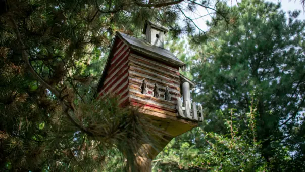 nestbox