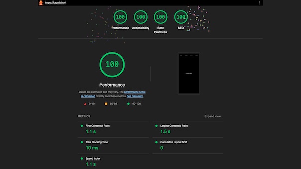 Google Lighthouse 100 score